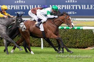 FIGHTING WIN BY WYCLIF IN PORT ADELAIDE CUP